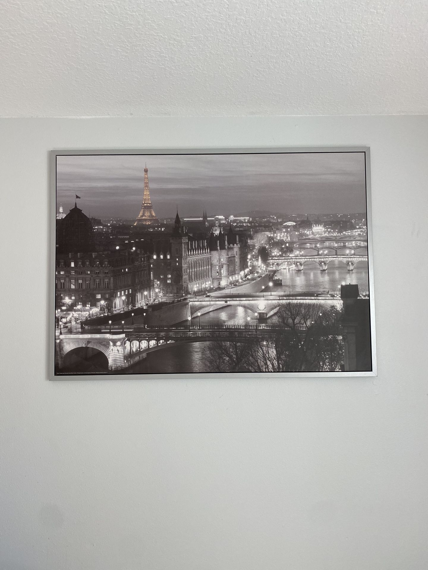 Framed Paris Canvas