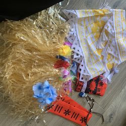 Costume Moana