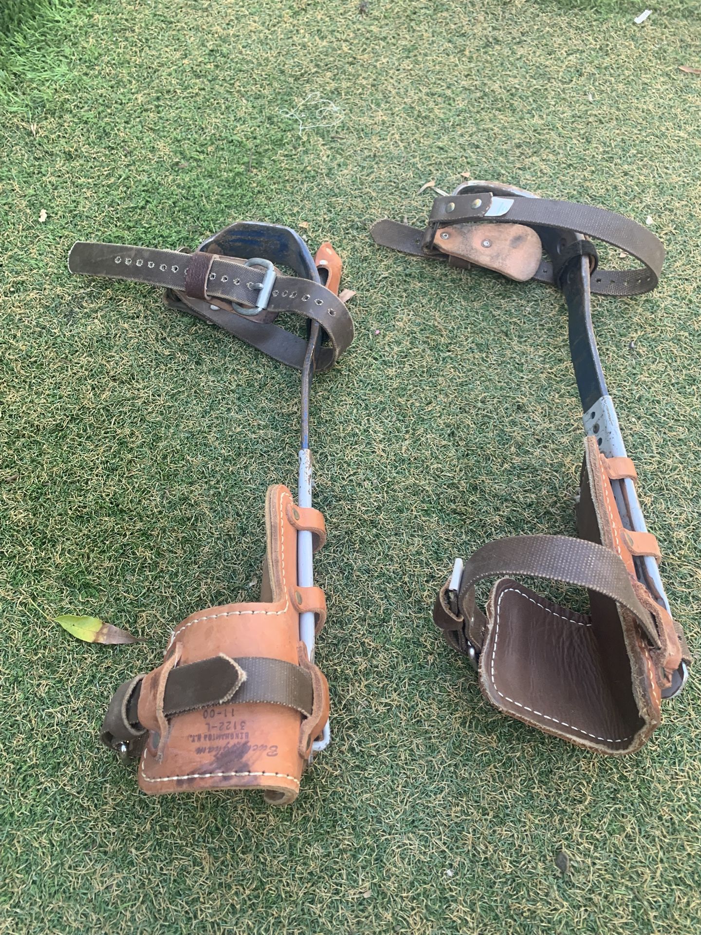 Buckinghang  Pole/tree Climbing