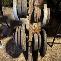 Weight Plates + Plate Storage Rack – Full Set