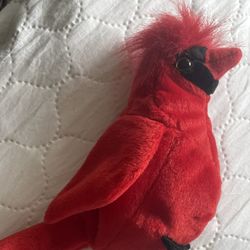 TY Beanie baby “Mac” Cardinal