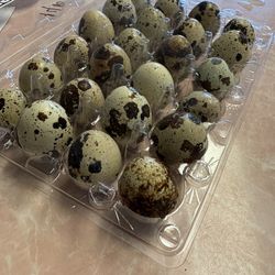 Chicken And Quail Eggs 