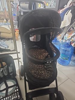 Pet Stroller