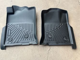 Tesla or ? New Floormats. Front