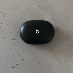 Beats Wireless Bluetooth Pods