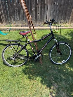 Specialized Expedition Bike