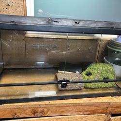 Reptile Tank