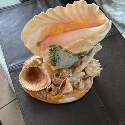 Real Sea Shells Arrangement.  