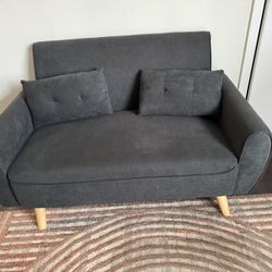 Small Modern Love Seat Couch 