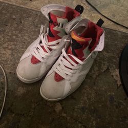 Hare Jordan 7 Size 11 $100