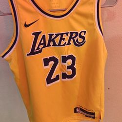 Lebron James Jersey 