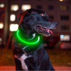 LED Safety Dog Collar Rechargeable, Green, Gently Used