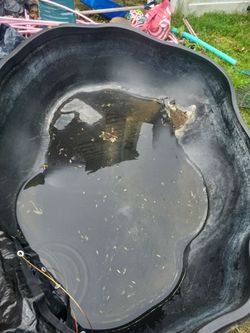 Pond