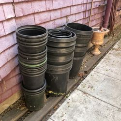 Flower Pots 