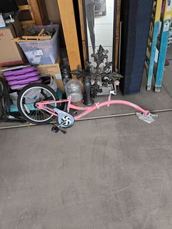 $20 co-pilot weeride