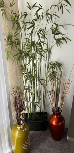 Decorative bamboo plant and 2 vases