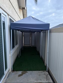 5x5 Canopy Tent