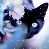 Cloe