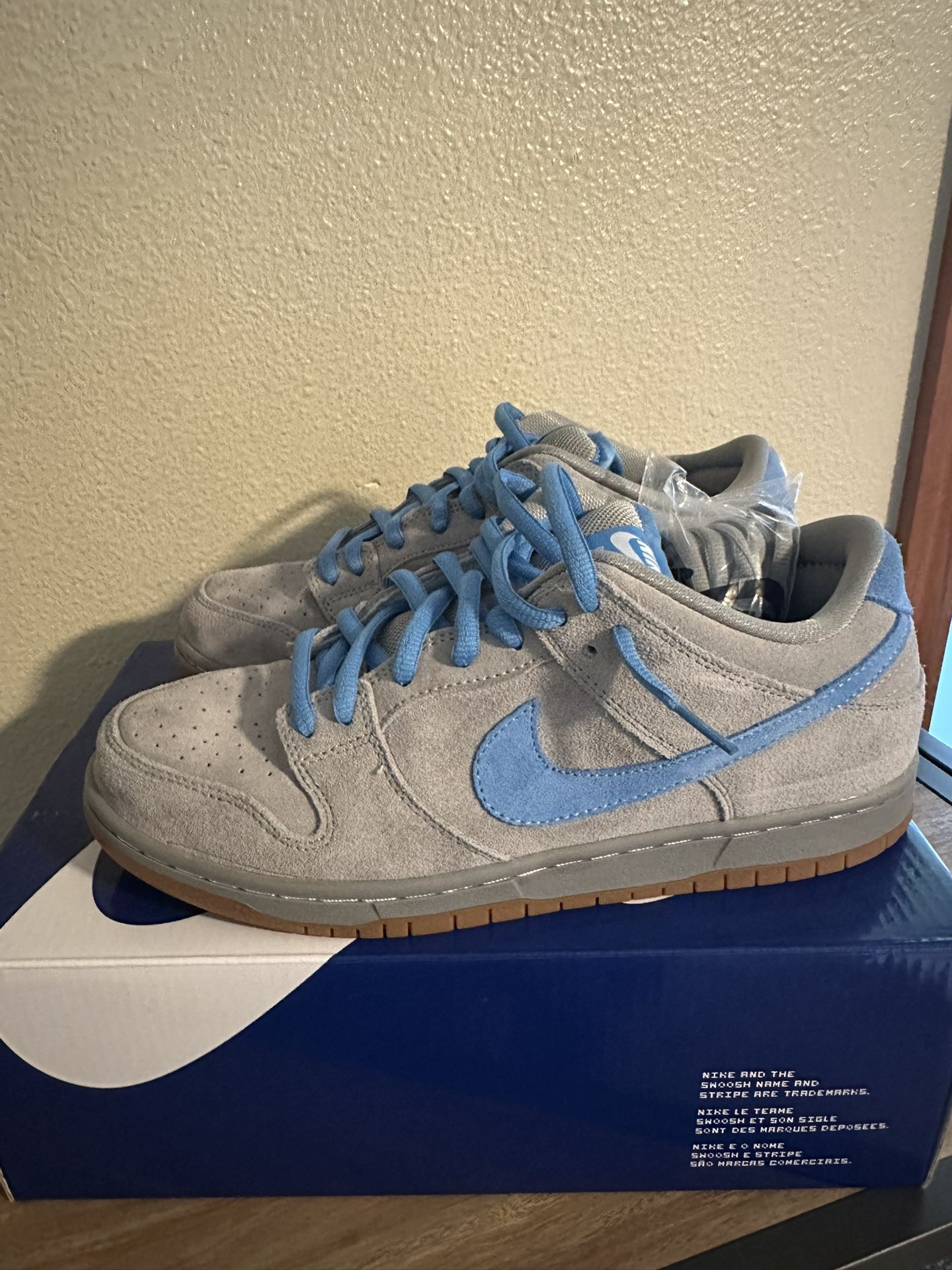 Nike Dunk Sb