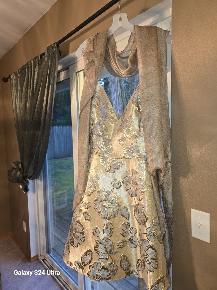 Prom/Homecoming Dress