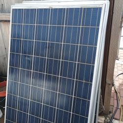 Trina 240 Watt Solar Panels