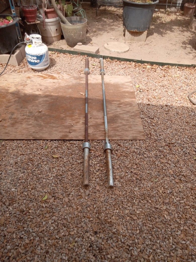 Bench Press Bars