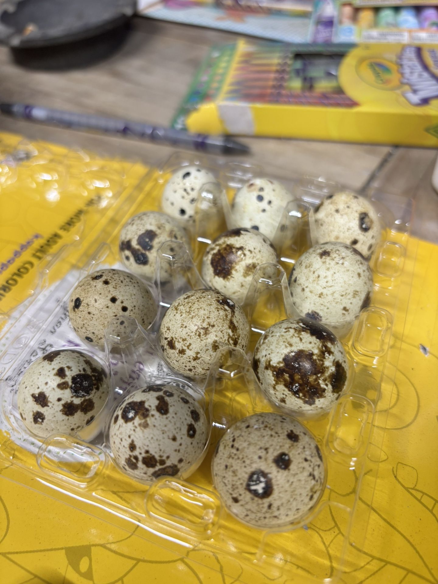 Quail Eggs