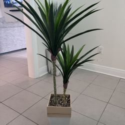 Decor Plant 