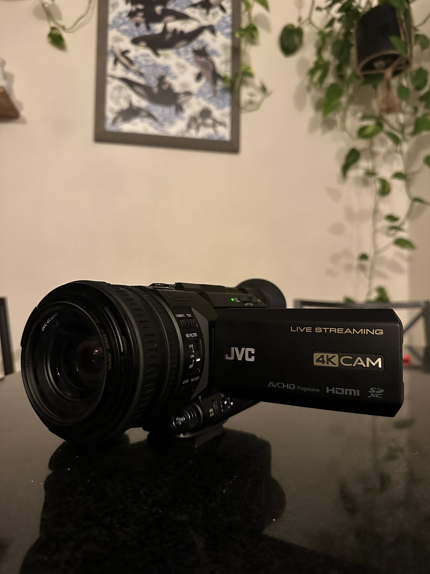 JVC 4k Streaming Camera + Rode Mic NTG1