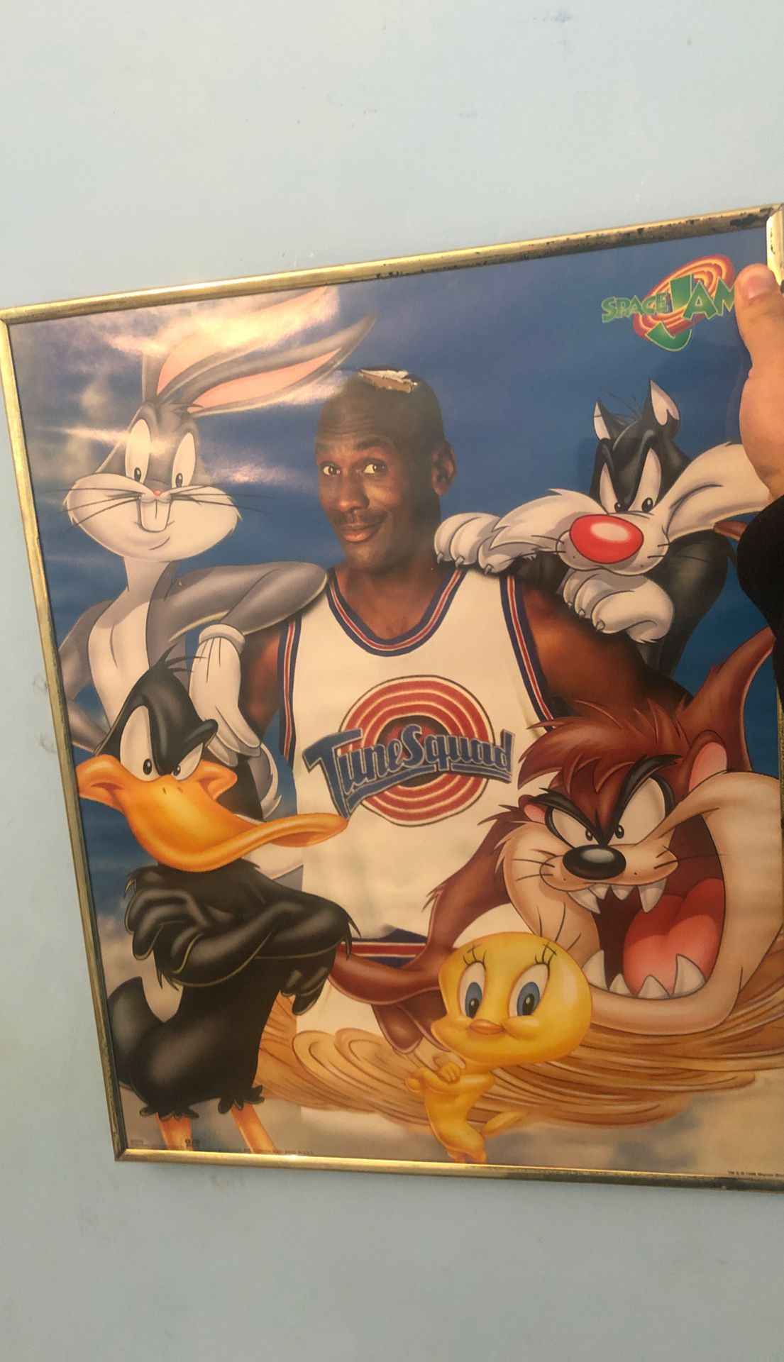 Michael Jordan TuneSquad Picture and Frame