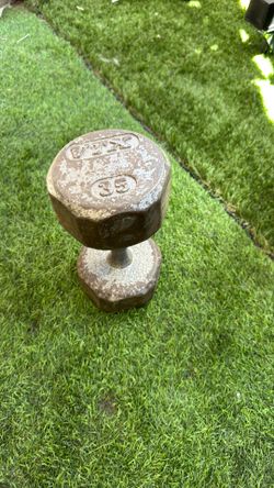 1 VTX 35lb Dumbell