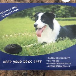 Wireless Dog Fence
