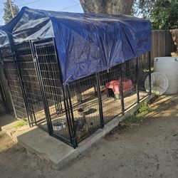 Dog Kennel Perro Jaula