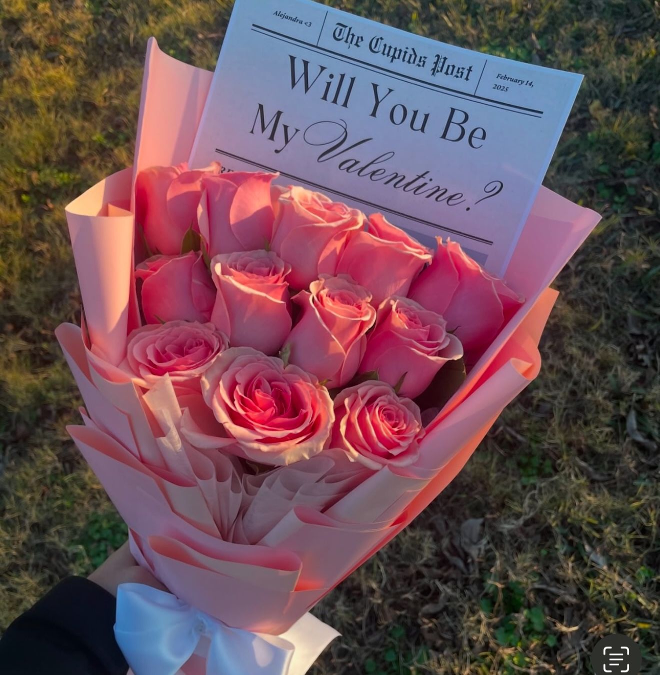 valentines Roses