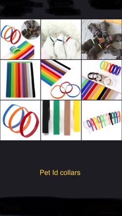 Pet Id collars