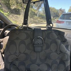 Gray/blue Coach Bag 