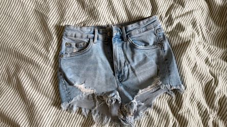 Zara Den Shorts