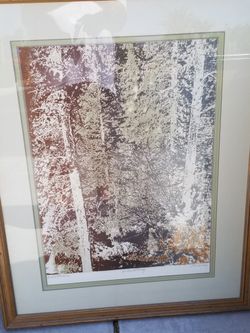 Limited Edition Print Framed