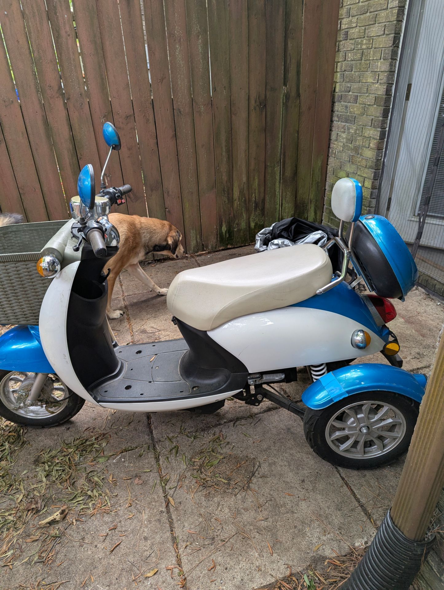 3 wheel scooter