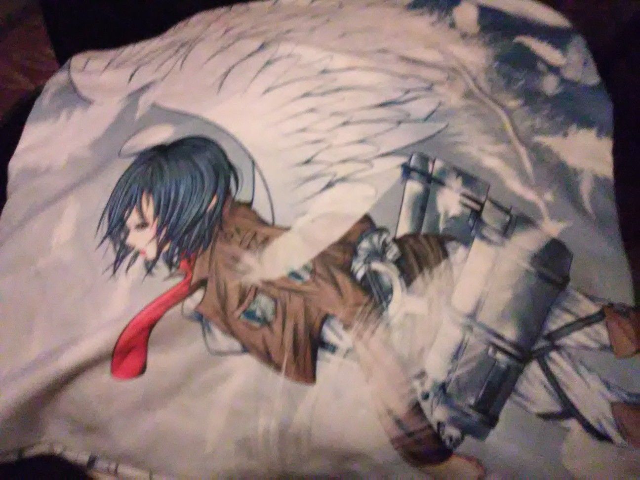 Anime pillow