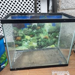 3 Fish Tanks