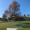 Jorge