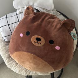 Large Squishmallow 