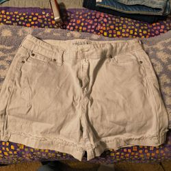 Women/junior shorts