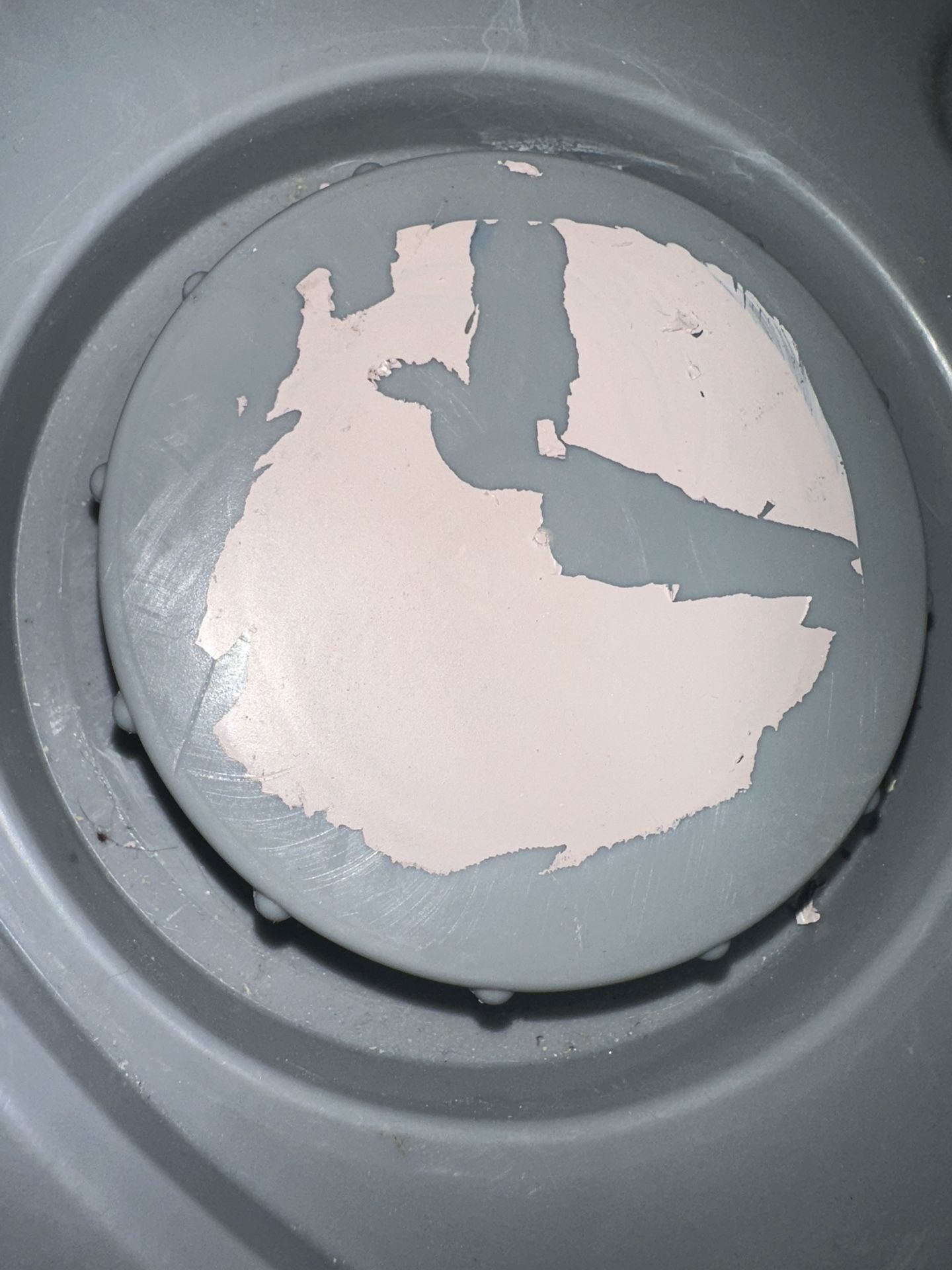 Paint 5gallon 