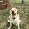 Oliver