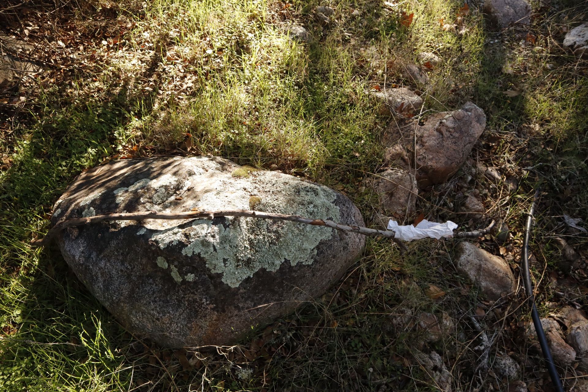 Need Rocks