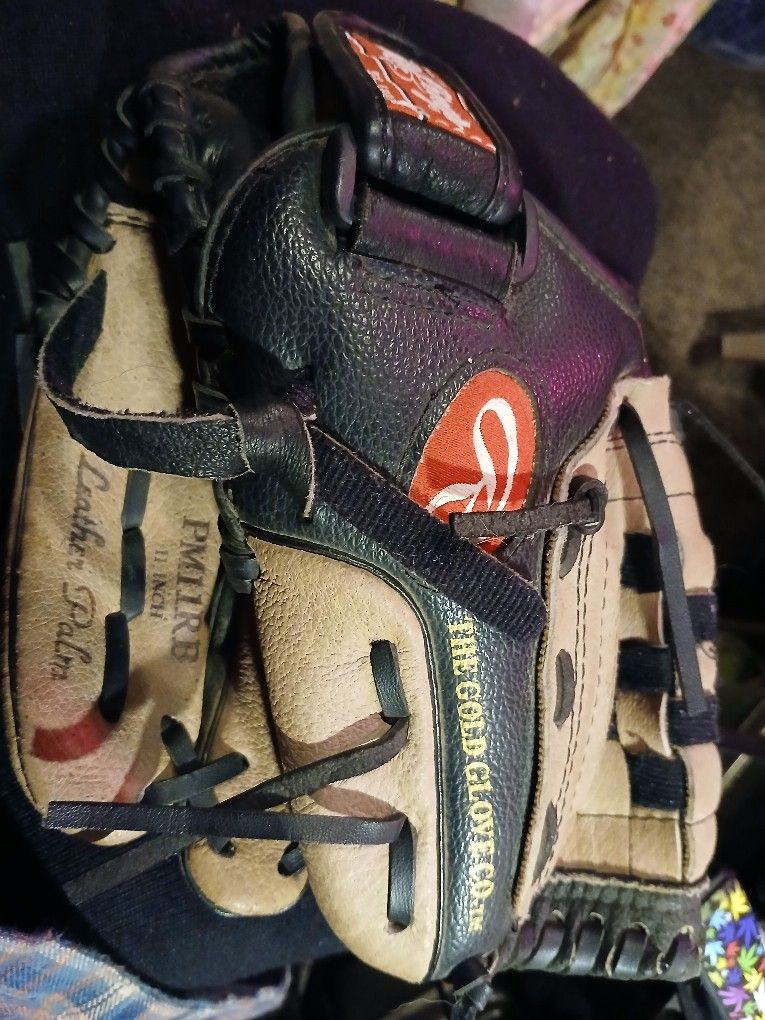 Youth Ball Glove .