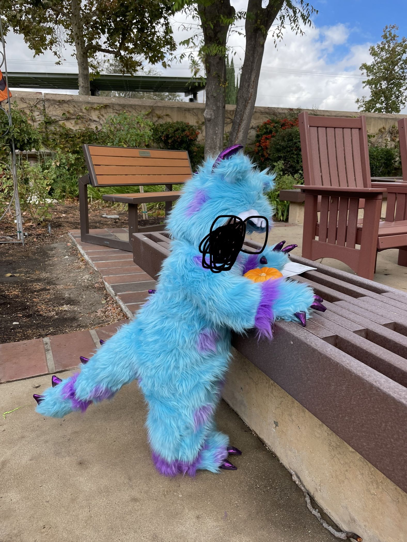 Sully Monster Toddler Costume