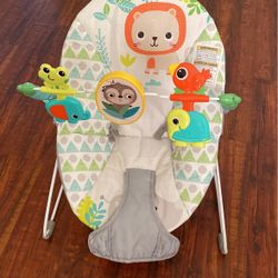 Baby Bouncer